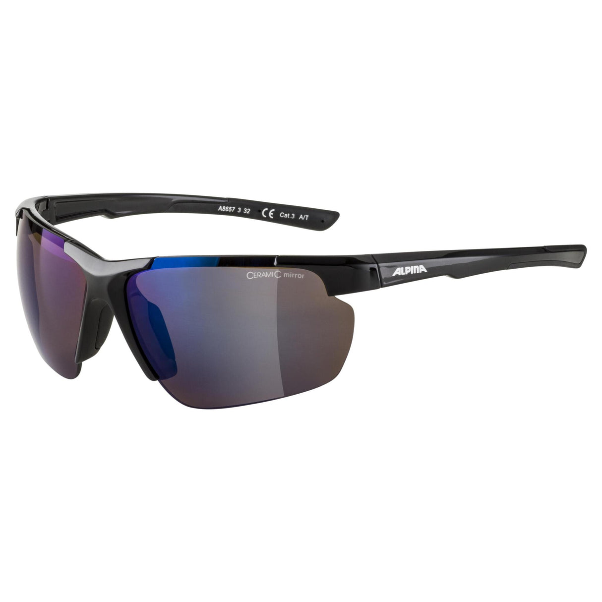 Alpina DEFEY HR BLACK GLOSS Glasses