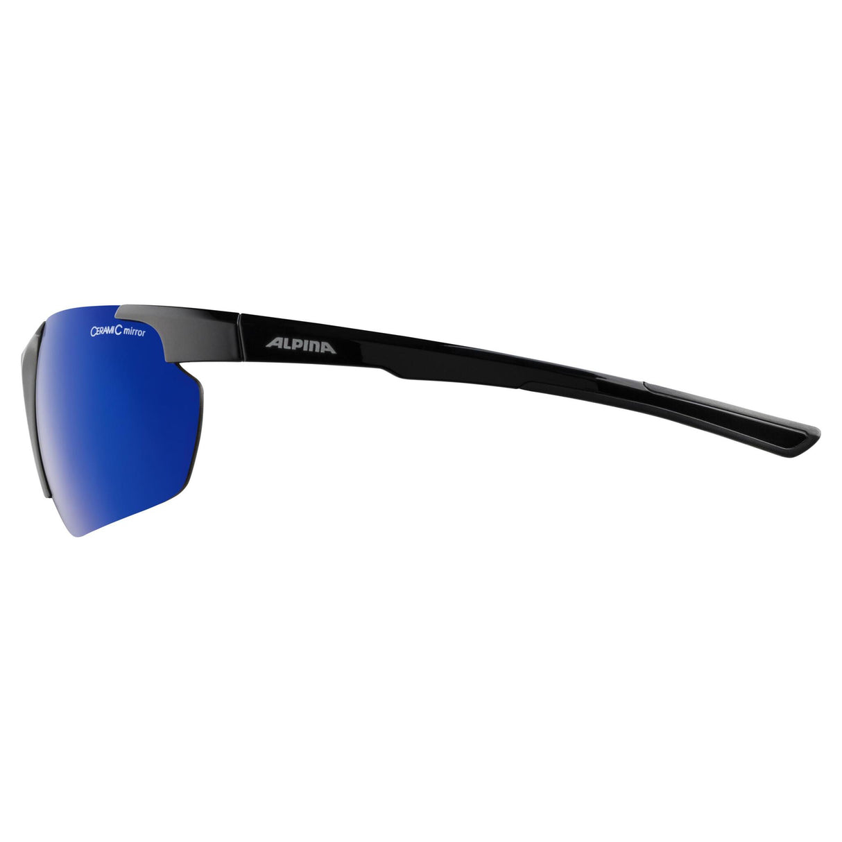 Alpina DEFEY HR BLACK GLOSS Glasses