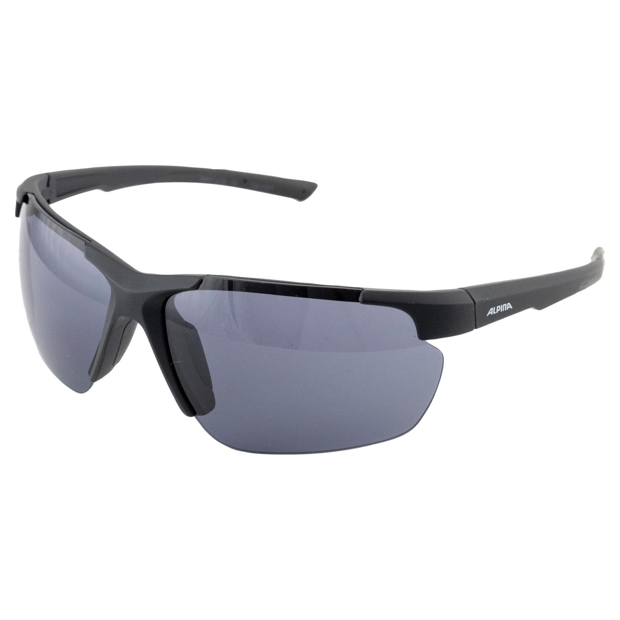 Lunettes ALPINA DEFEY HR Black Matt/Black