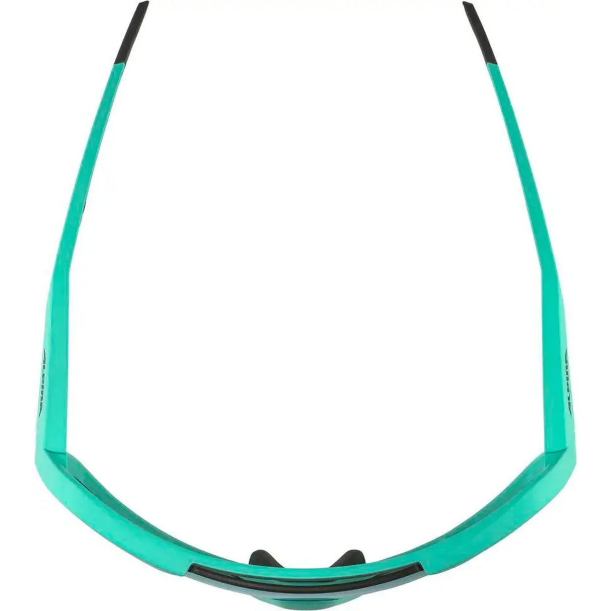 Lunettes Alpina Rocket Q-Lite Turquoise Mat