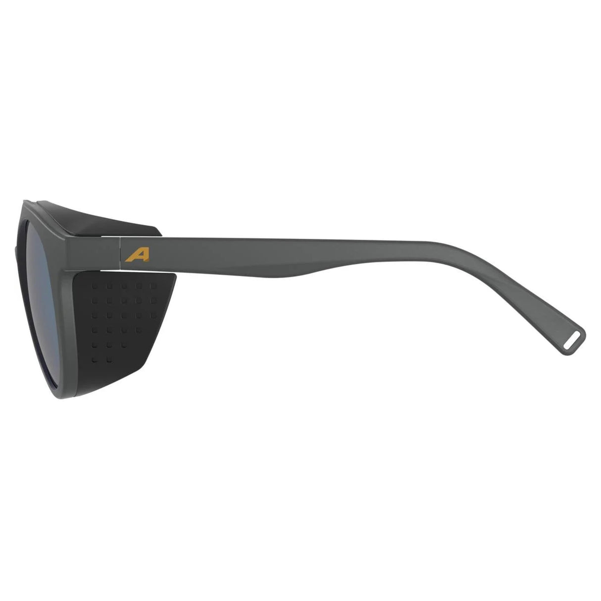 Lunettes Alpina Glace P Midnight-Grey Matt/Mirror Silver