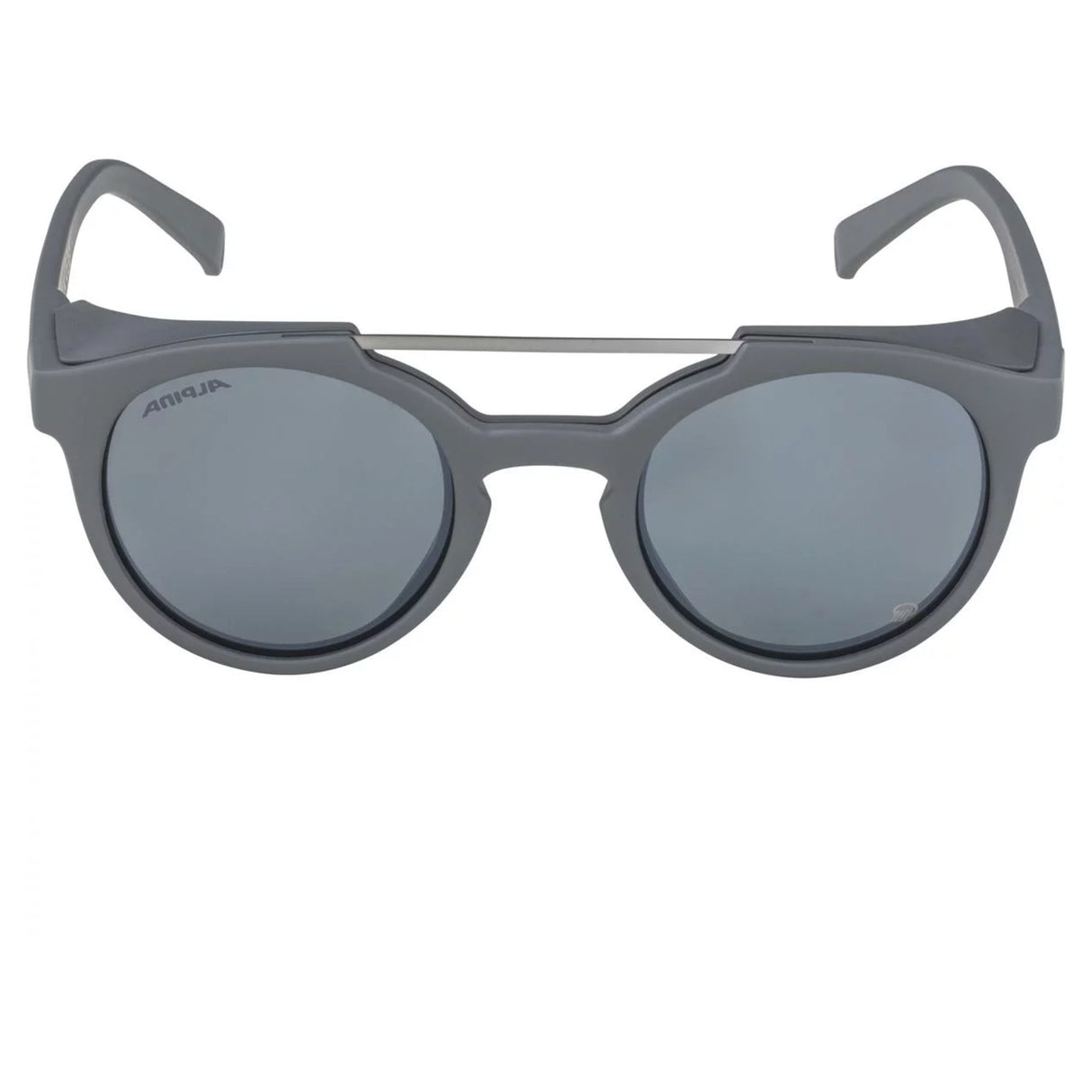 Lunettes Alpina Glace P Midnight-Grey Matt/Mirror Silver