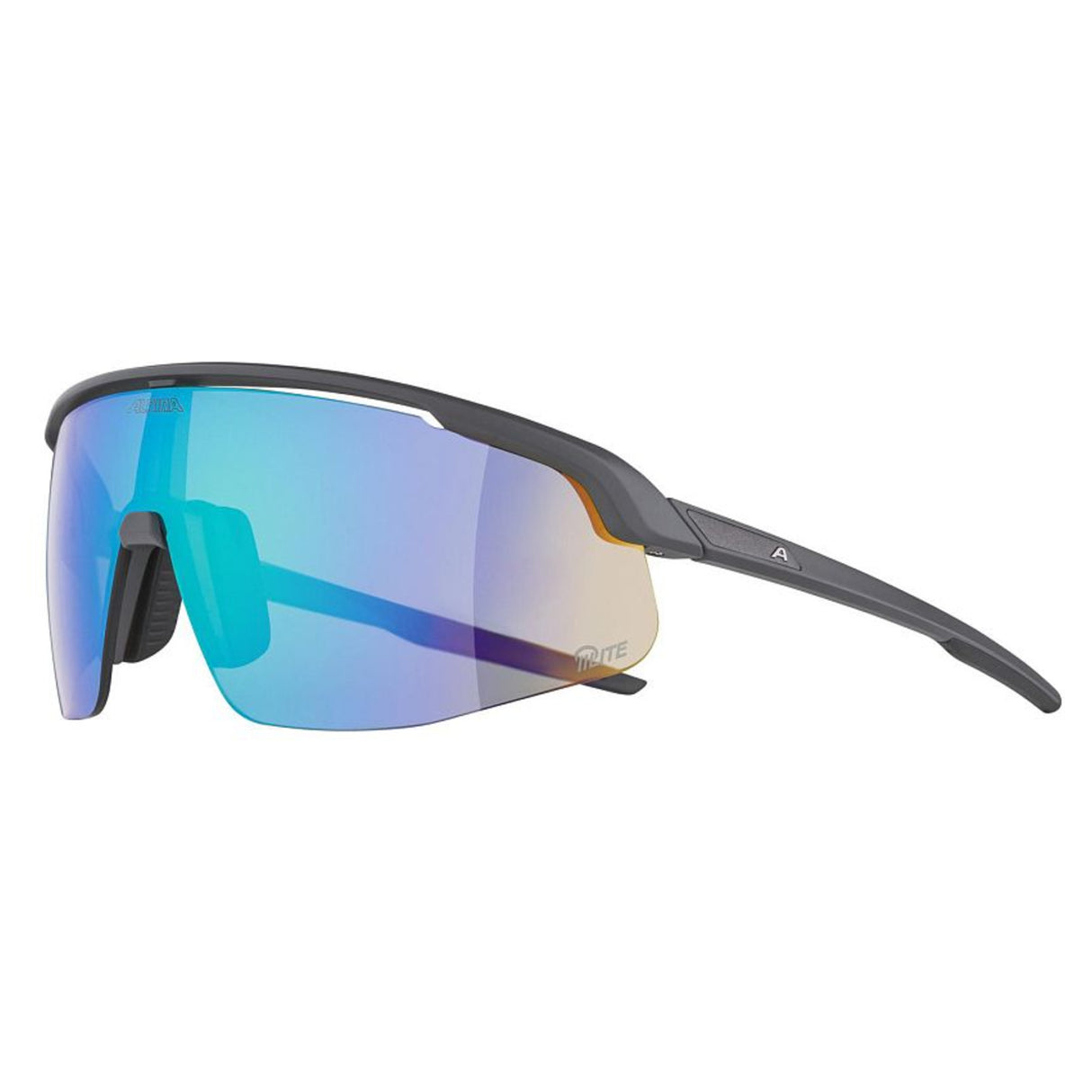 Lunettes Alpina Turbo Pro Q-Lite Midnight-Grey Matt/Mirror Green
