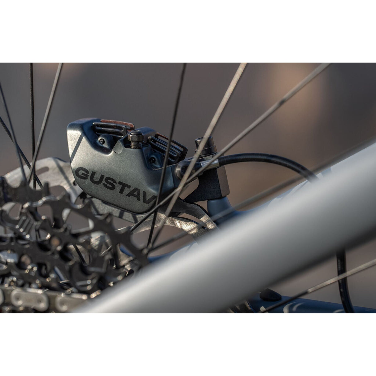 VTT électrique Amflow PR Carbon Pro