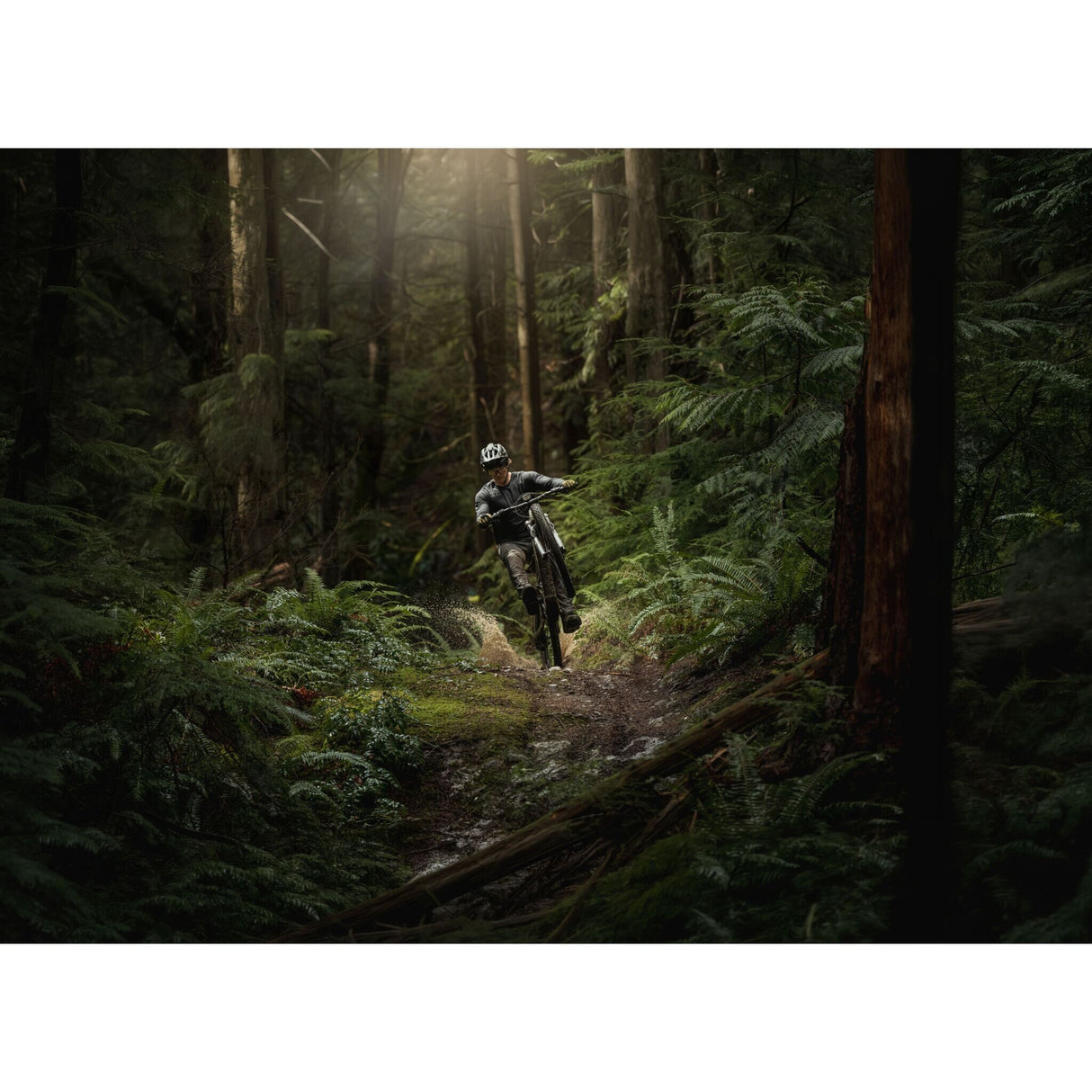 VTT électrique Amflow PR Carbon Pro