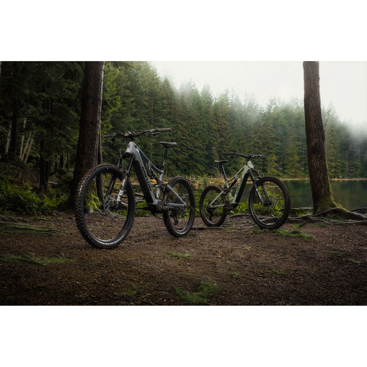 VTT électrique Amflow PR Carbon