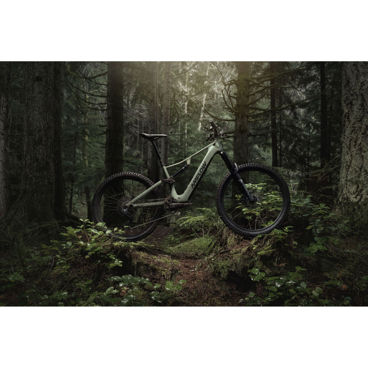 VTT électrique Amflow PR Carbon