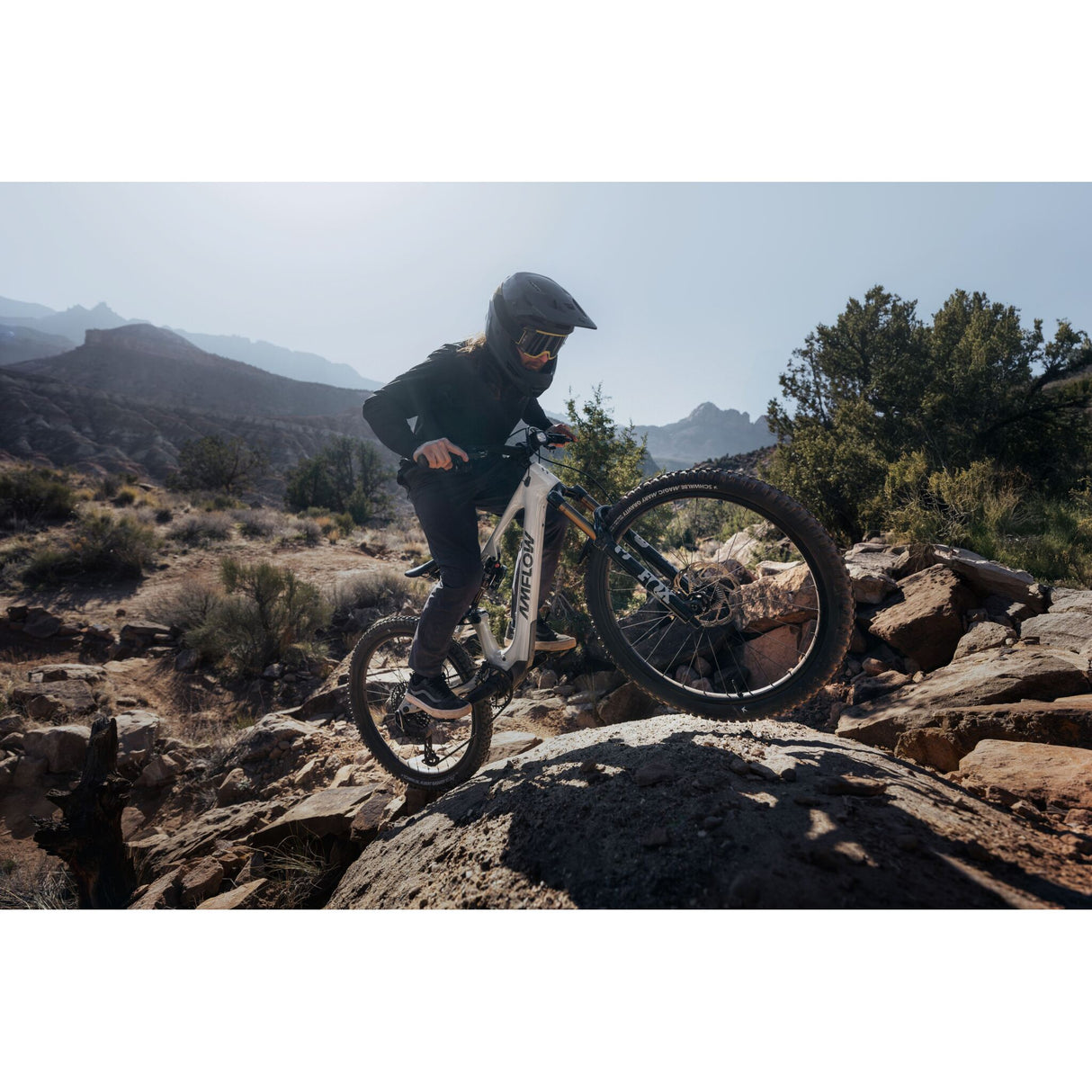 VTT électrique Amflow PX Carbon