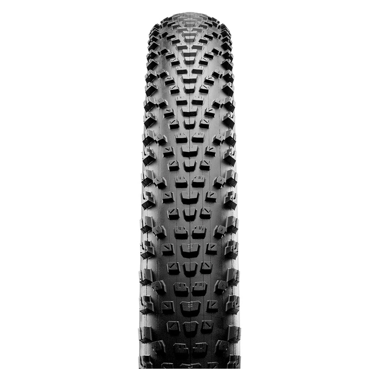 Pneu Maxxis Rekon Race Dual Exo/Tr 29x2.4 Noir