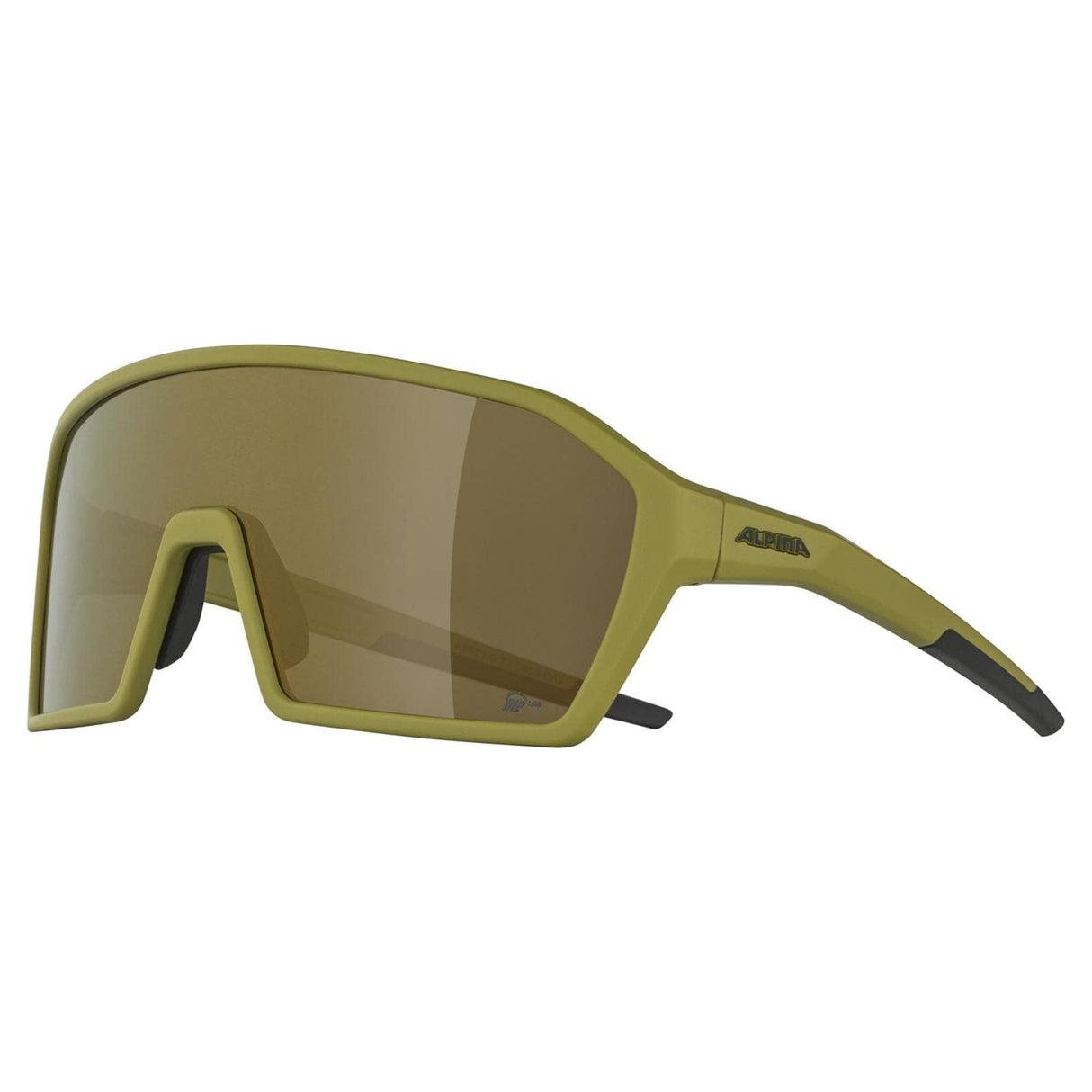 Lunettes Alpina RAM Q-Lite Noir/Bleu Mirror