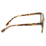 Lunettes Alpina Yefe Havana Gloss