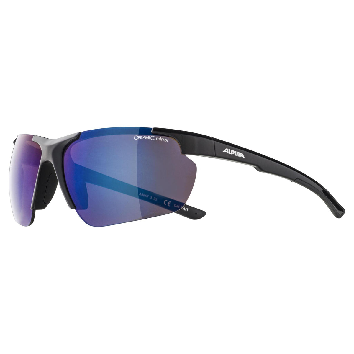 Lunettes Alpina DEFEY HR BLACK GLOSS