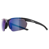 Alpina DEFEY HR BLACK GLOSS Glasses
