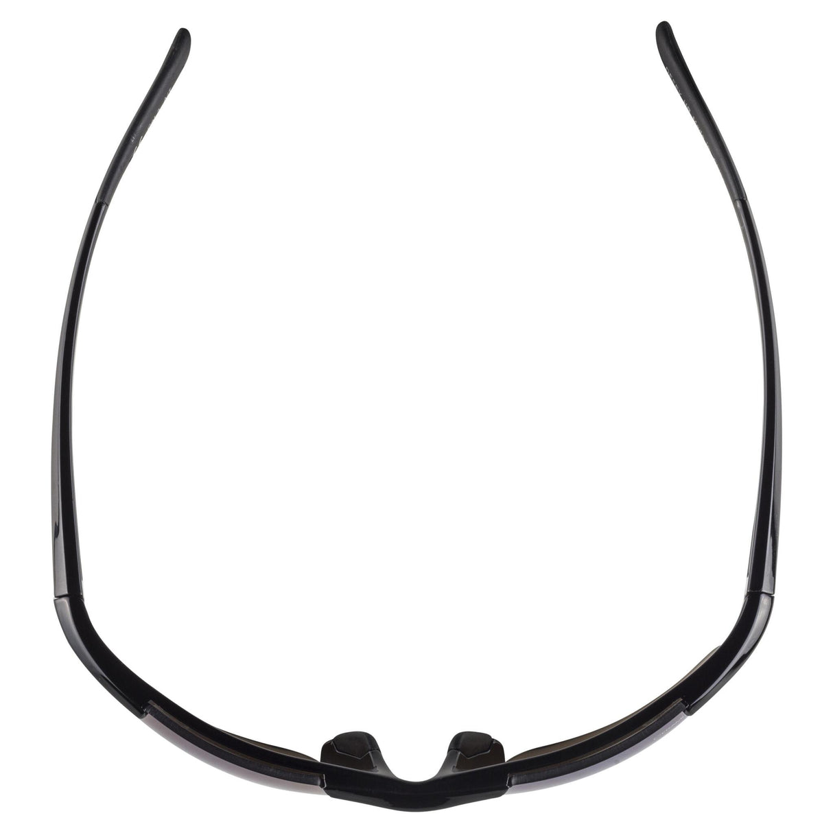 Alpina DEFEY HR BLACK GLOSS Glasses