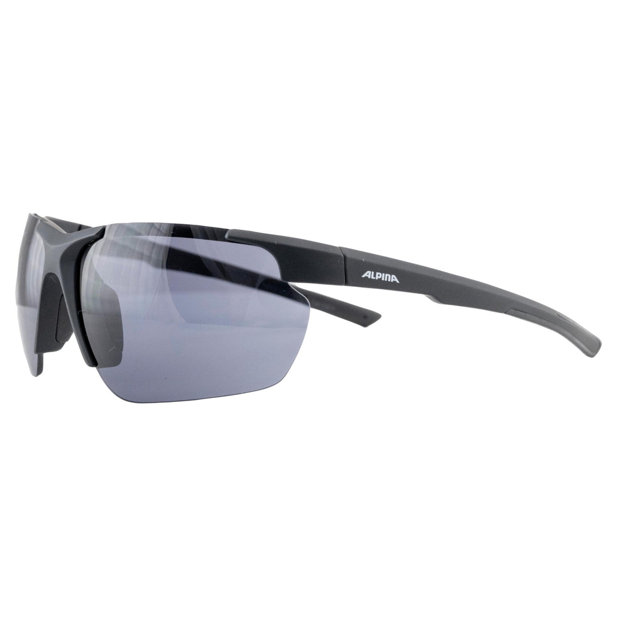 Lunettes ALPINA DEFEY HR Black Matt/Black