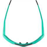 Lunettes Alpina Rocket Q-Lite Turquoise Mat