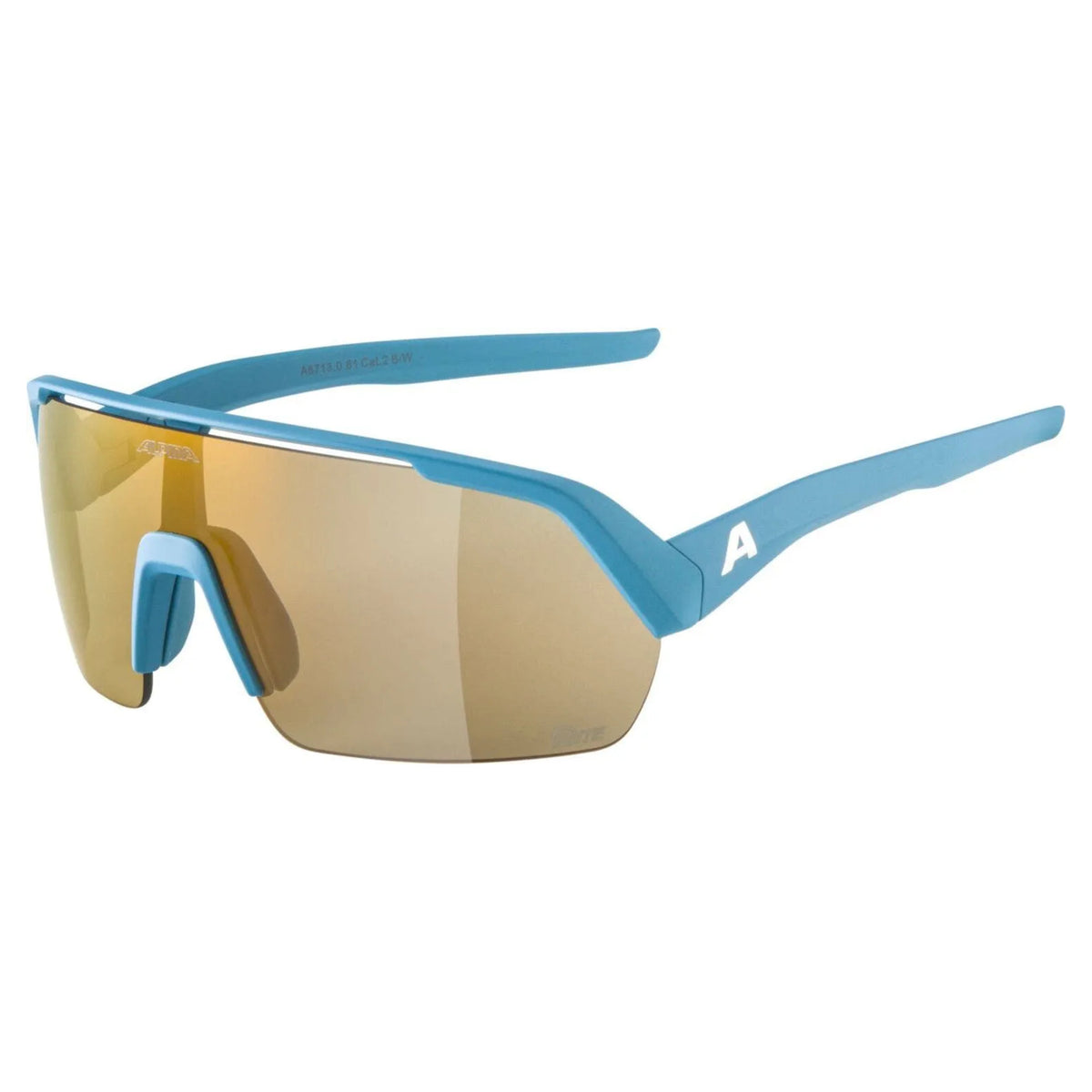 Lunettes Alpina Turbo Hr Q-Lite Smoke/Blue Matt