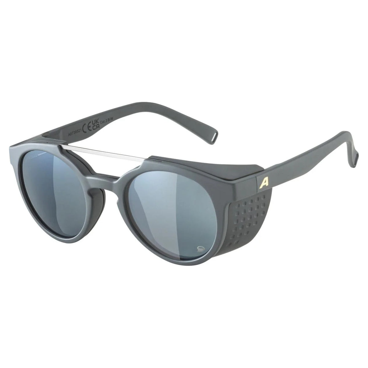 Alpina Glacier Glasses P Midnight-Grey Matt/Mirror Silver