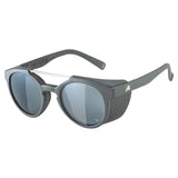Lunettes Alpina Glace P Midnight-Grey Matt/Mirror Silver