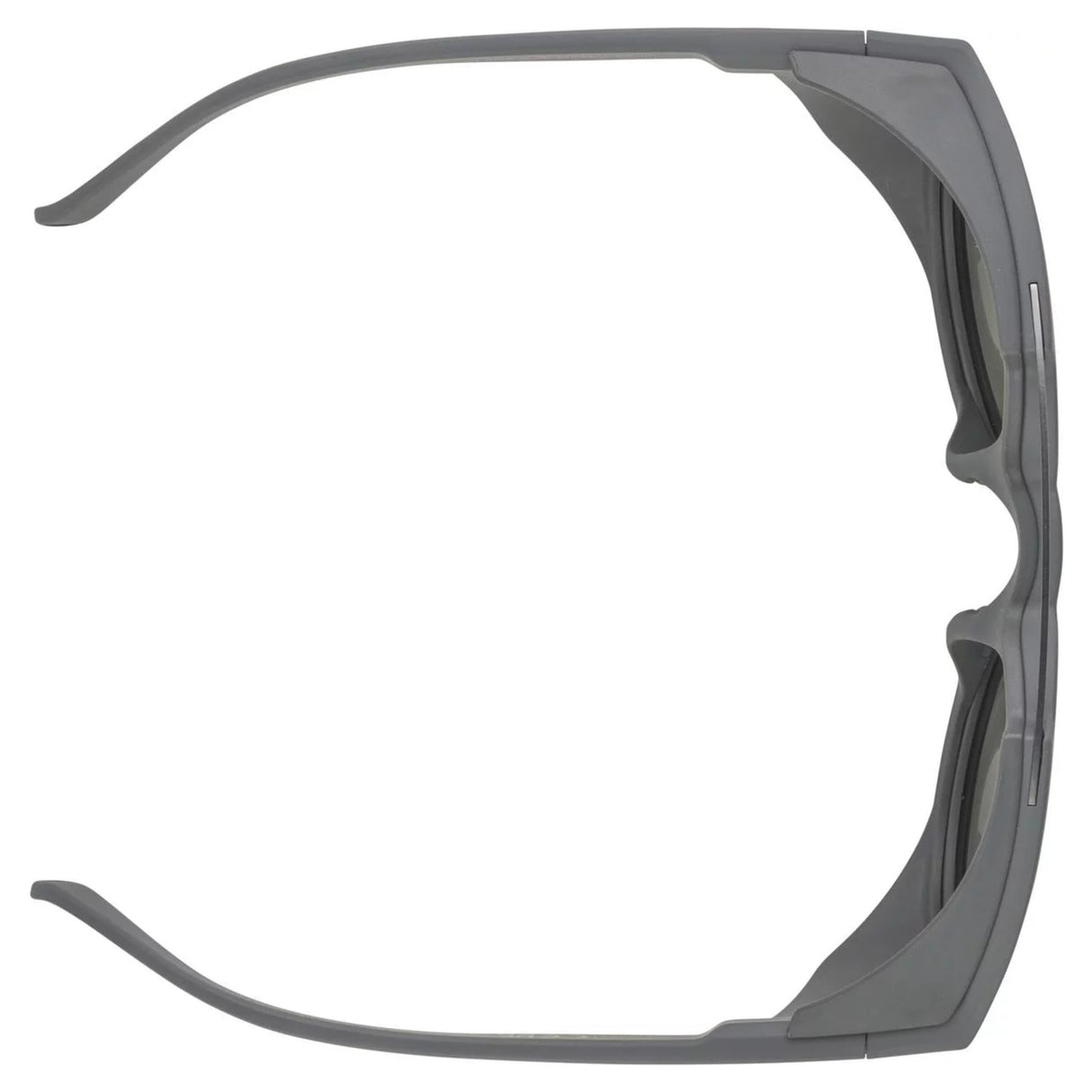 Lunettes Alpina Glace P Midnight-Grey Matt/Mirror Silver