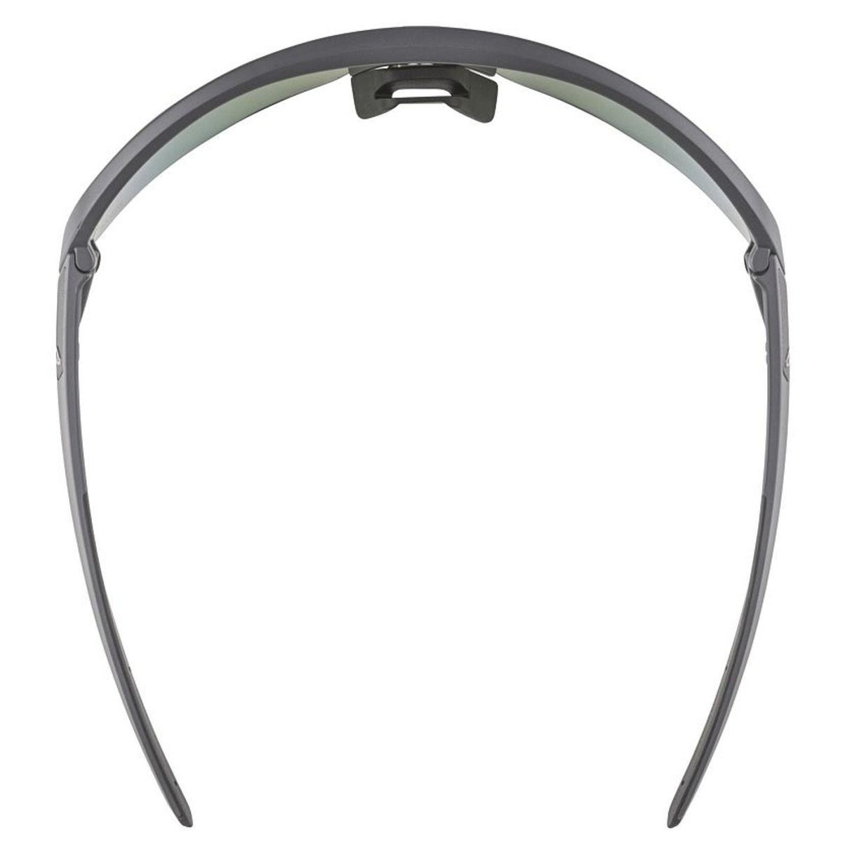 Lunettes Alpina Turbo Pro Q-Lite Midnight-Grey Matt/Mirror Green