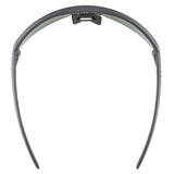 Lunettes Alpina Turbo Pro Q-Lite Midnight-Grey Matt/Mirror Green
