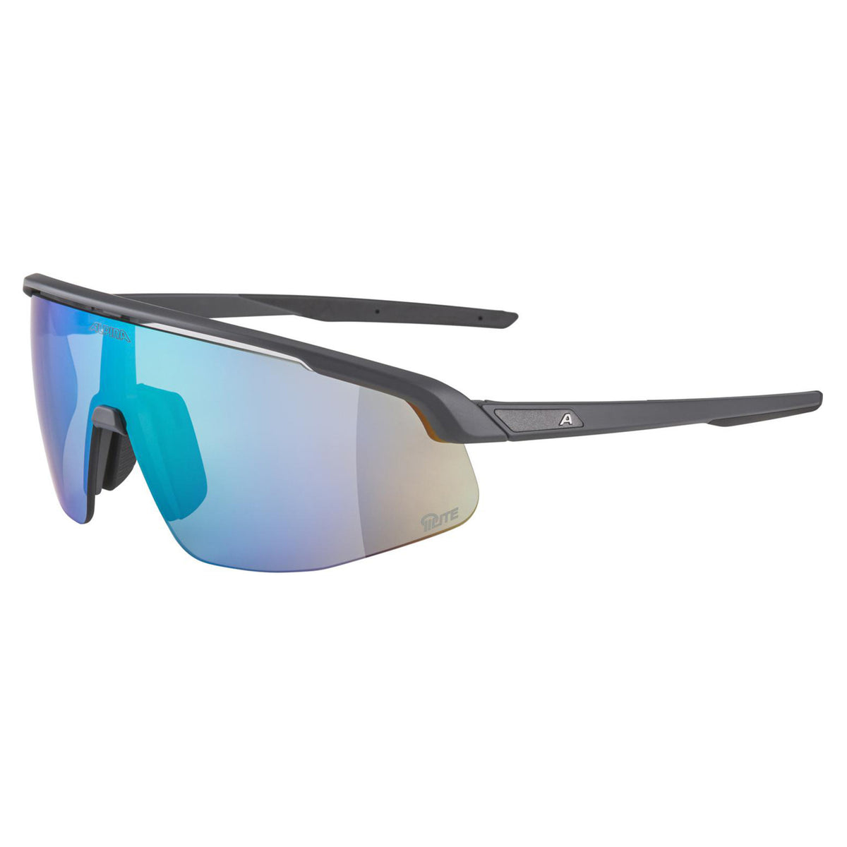 Lunettes Alpina Turbo Pro Q-Lite Midnight-Grey Matt/Mirror Green