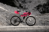 Sacoche de cadre Cyclite FRAME BAG / 02 Rose