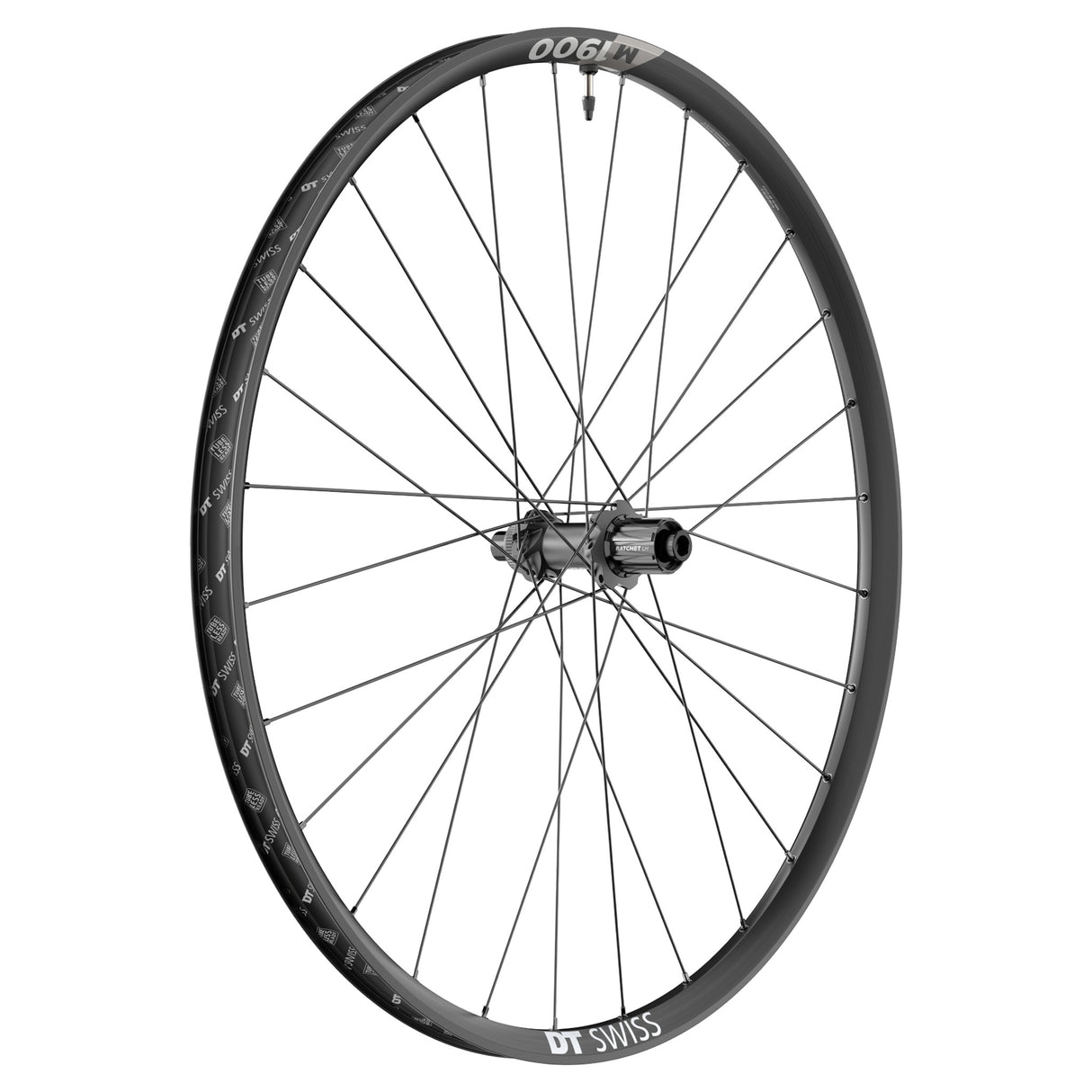 Roue arrière DT Swiss M 1900 SPLINE 29