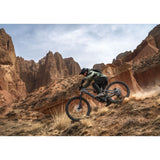 VTT électrique Amflow PR Carbon Pro