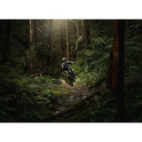 VTT électrique Amflow PR Carbon Pro