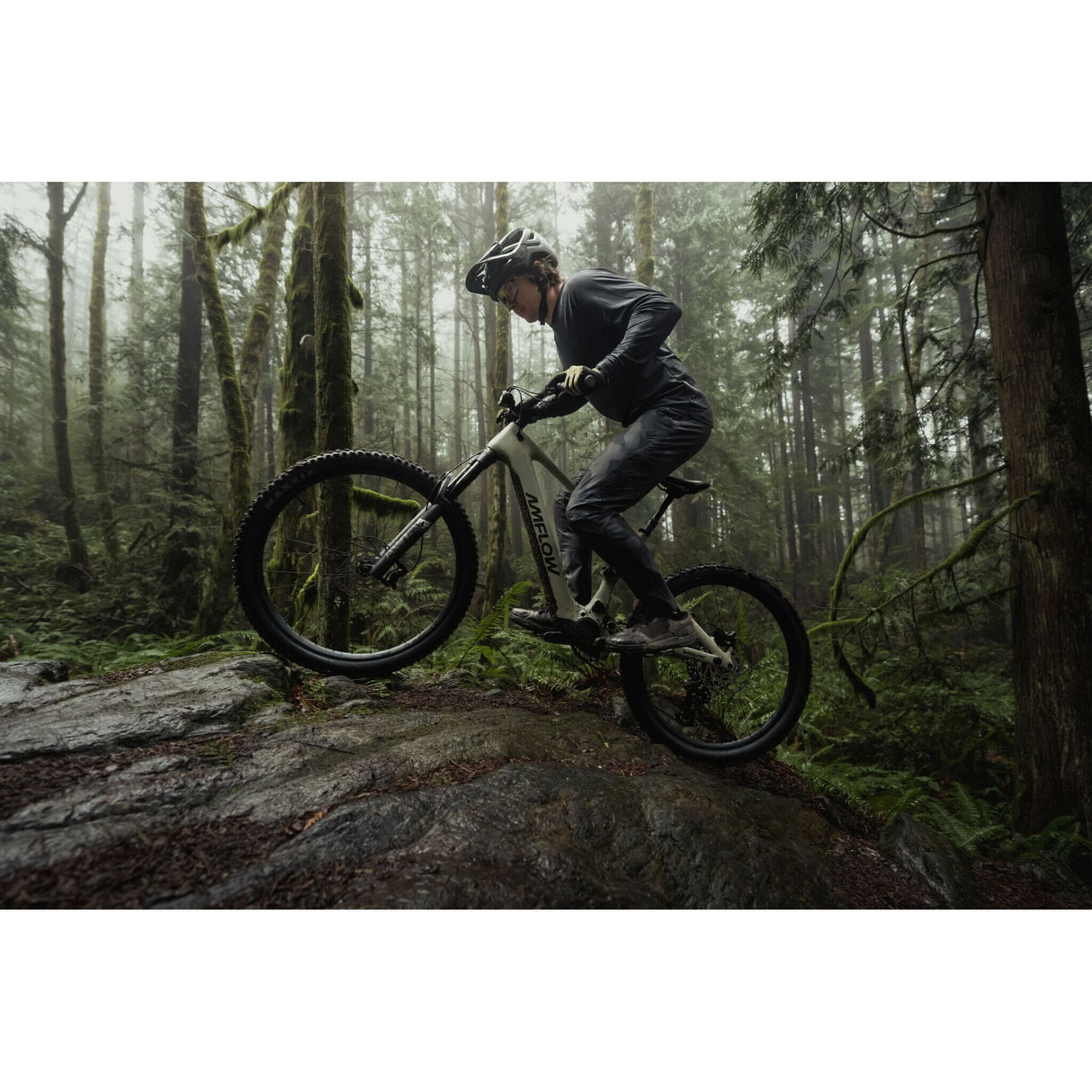 VTT électrique Amflow PR Carbon