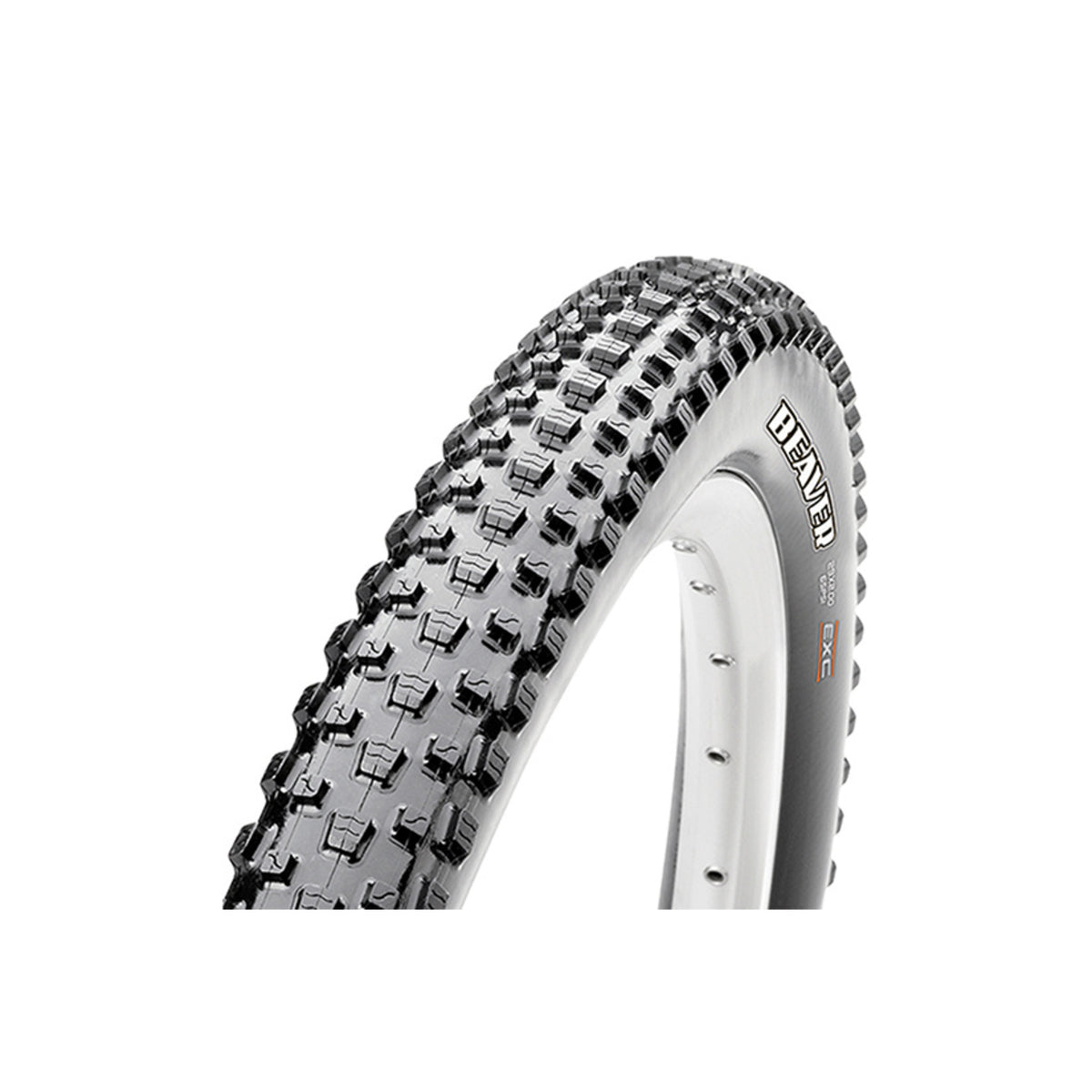 Pneu Maxxis Beaver EXO Dual 29 pouces