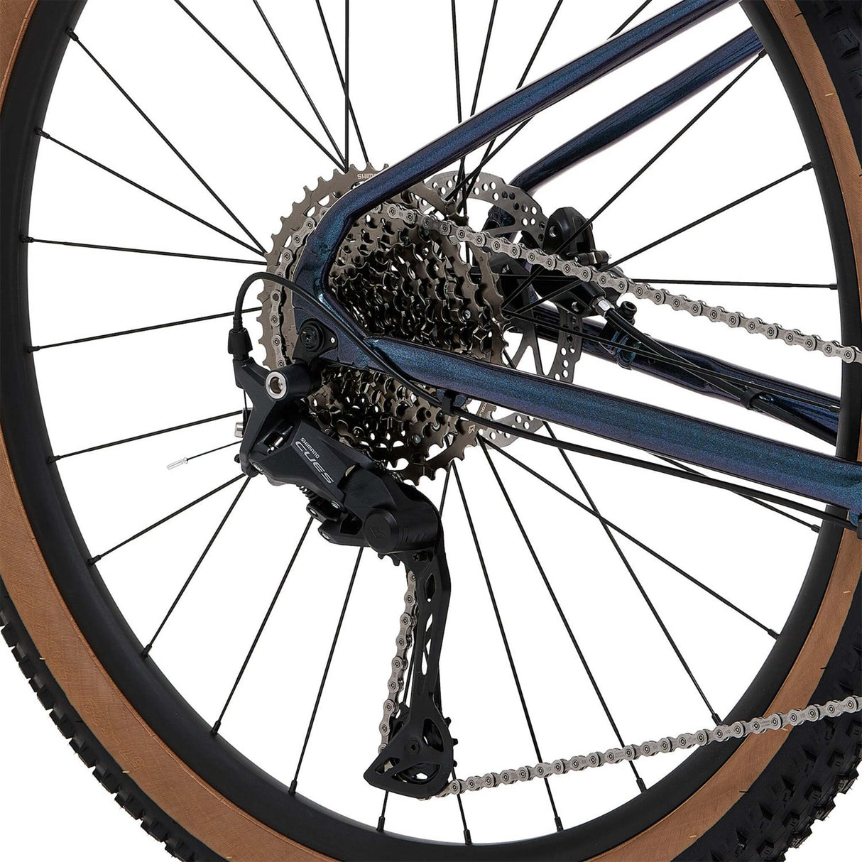 Welt Rambler Blue Mountain Bike