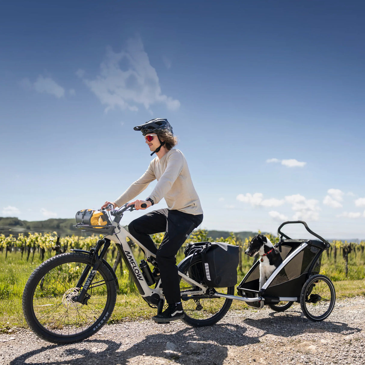 VTT électrique Amflow TL Carbon