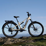 VTT électrique Amflow TL Carbon